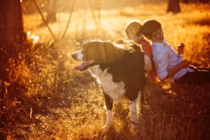 Arkansas Sheriffs' Youth Ranches