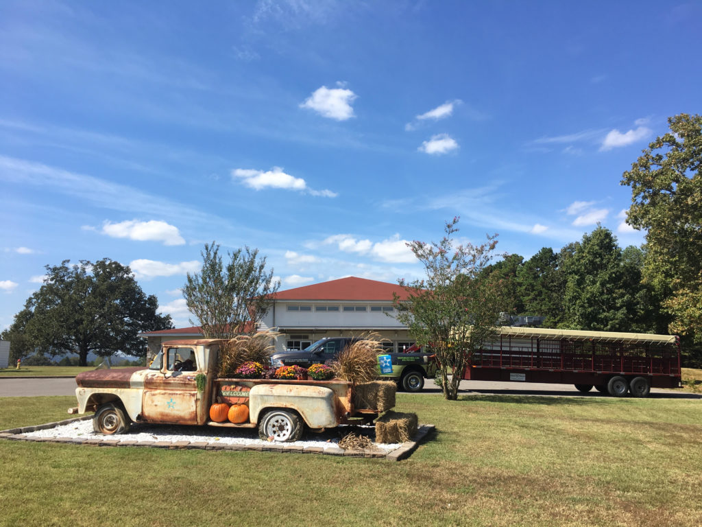 Arkansas Sheriffs' Youth RanchesPumpkin Patch Arkansas Sheriffs